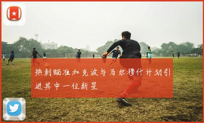 热刺瞄准加克波与马尔穆什计划引进其中一位新星